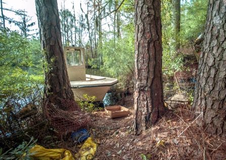 A wood landing for a waerman.