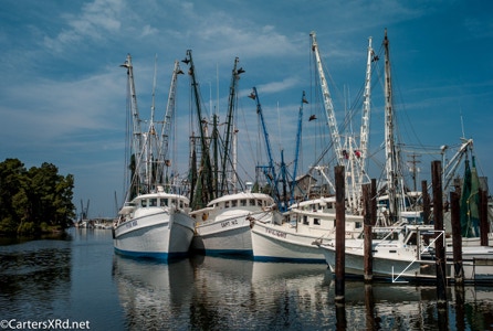 Swan Quarter harbor 2009
