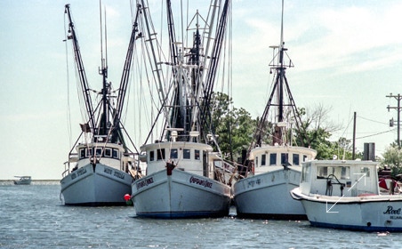 wooden trawlers