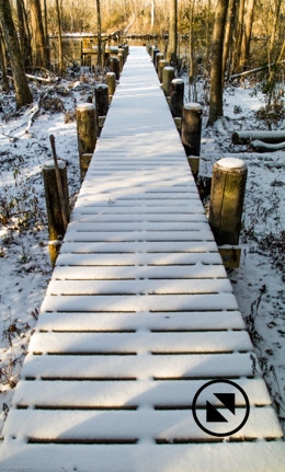 Pier covered in snow, Tranters Creek, Washington, NC